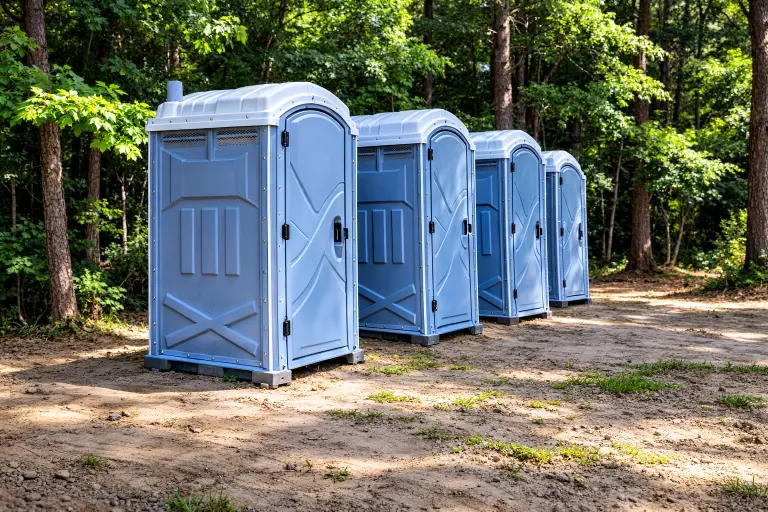 Flushable Porta Potty 